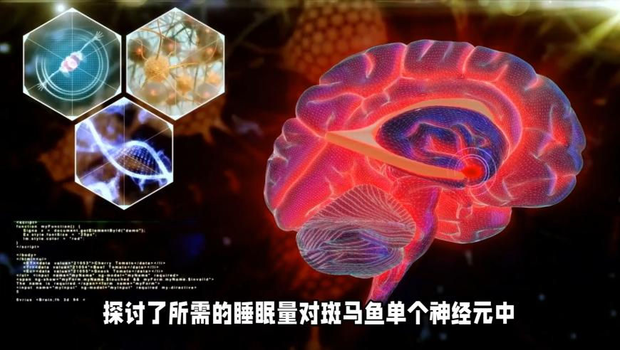 管家婆2025资料精准一肖,决策资料解释落实_静态版V10.87
